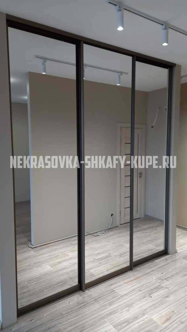 Встроенные шкафы на заказ Некрасовка
